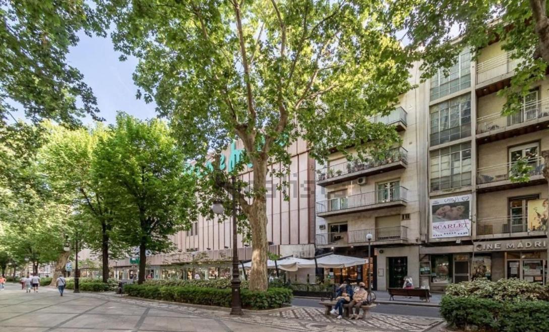 Apartamento Con Terraza A 4 Minutos De La Catedral Гранада Экстерьер фото